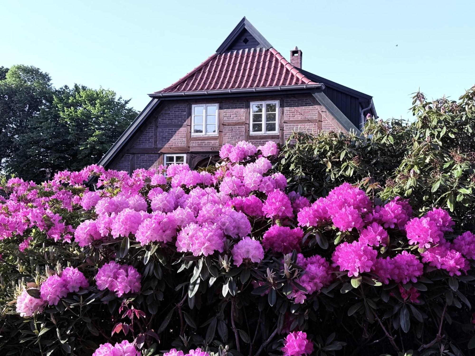 Christel Zwischenahn Daire Bad Zwischenahn Dış mekan fotoğraf